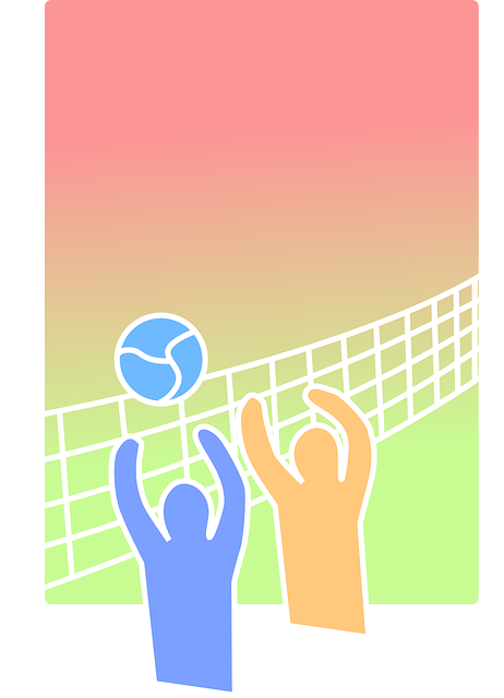 volleyball 155666 640